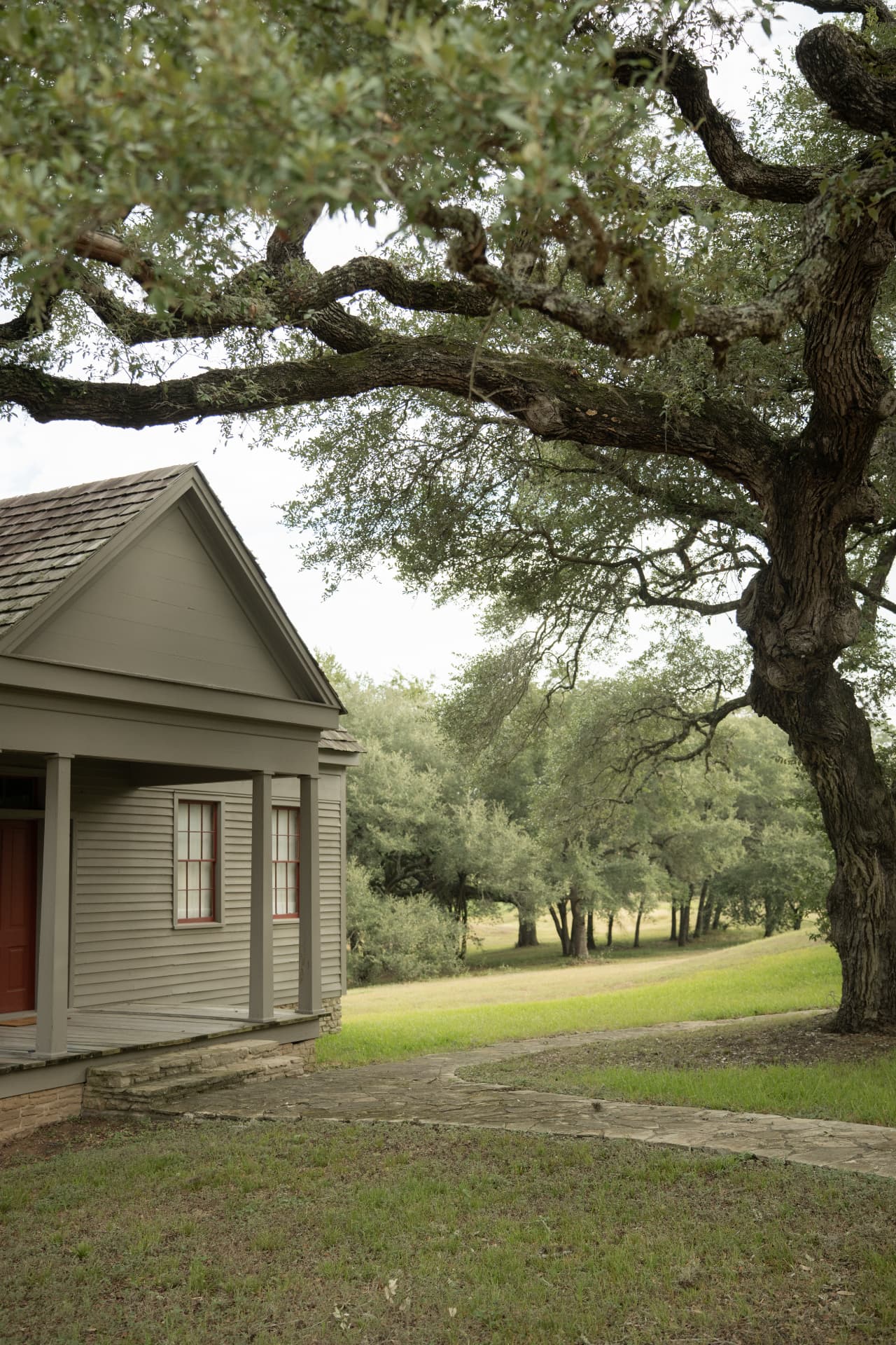 After — Live oak over a historic home