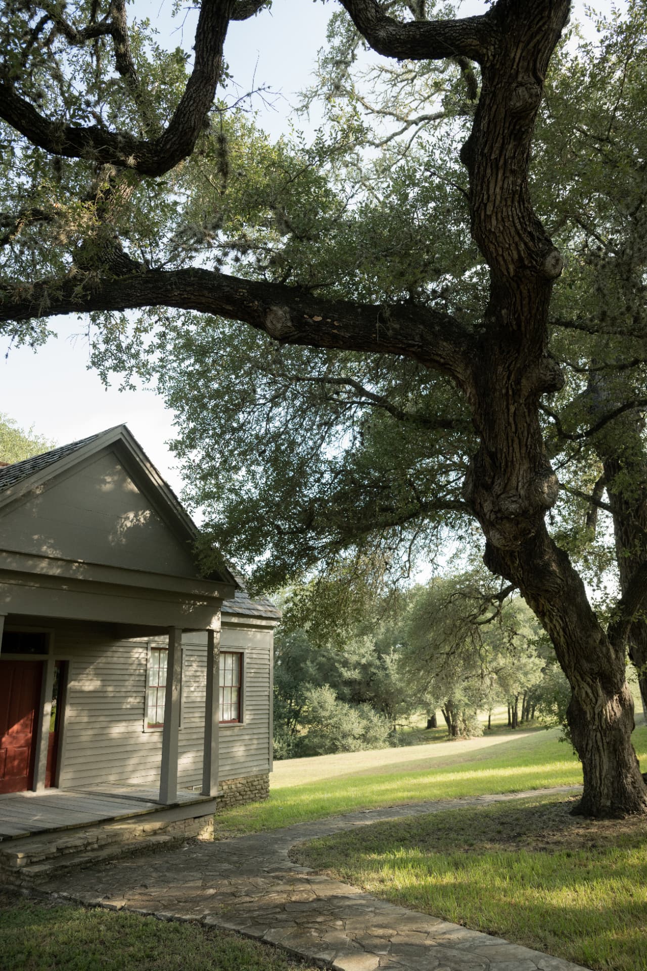 Before — Live oak over a historic home