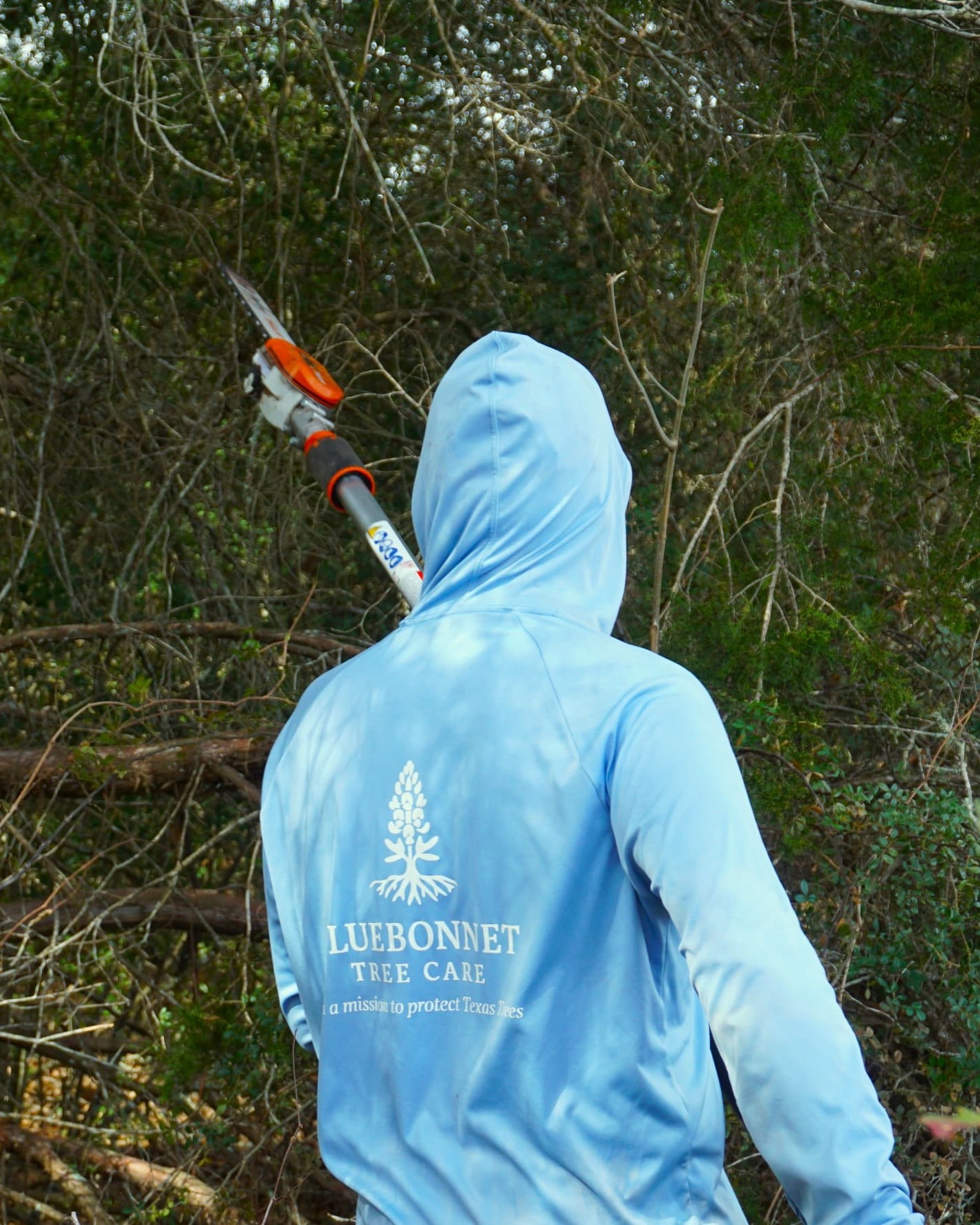 Bluebonnet Tree Care arborist at work in the field